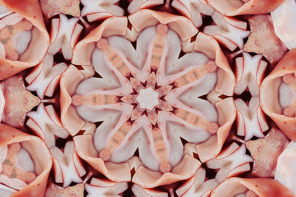 Carneidoscopes - Pork Skins