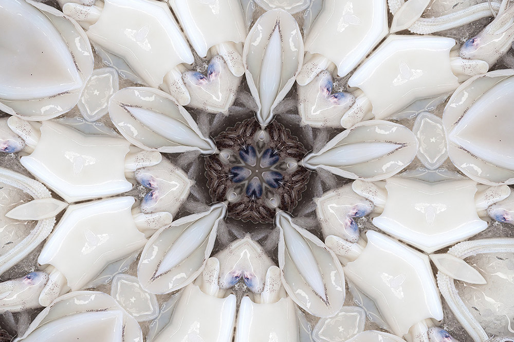 Carneidoscopes - Cuttlefish