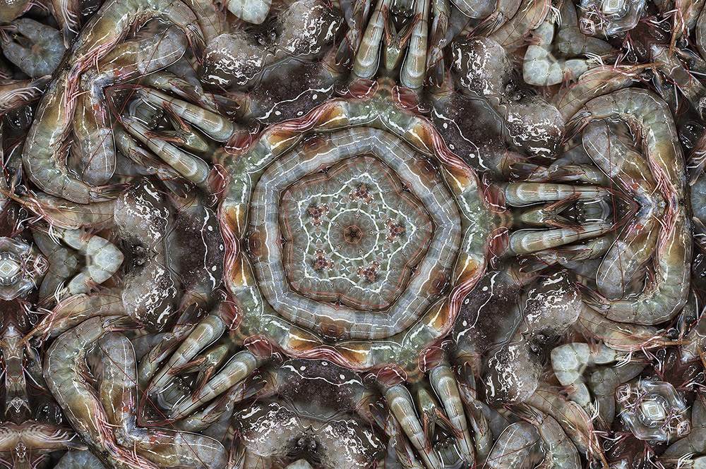 Carneidoscopes - Prawns
