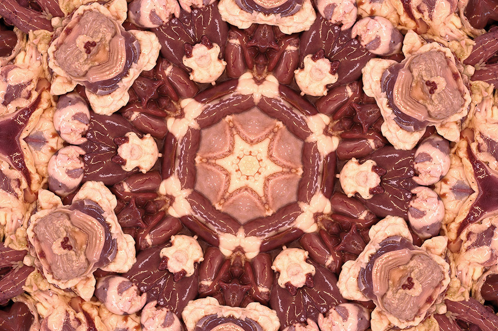 Carneidoscopes - Chicken Hearts