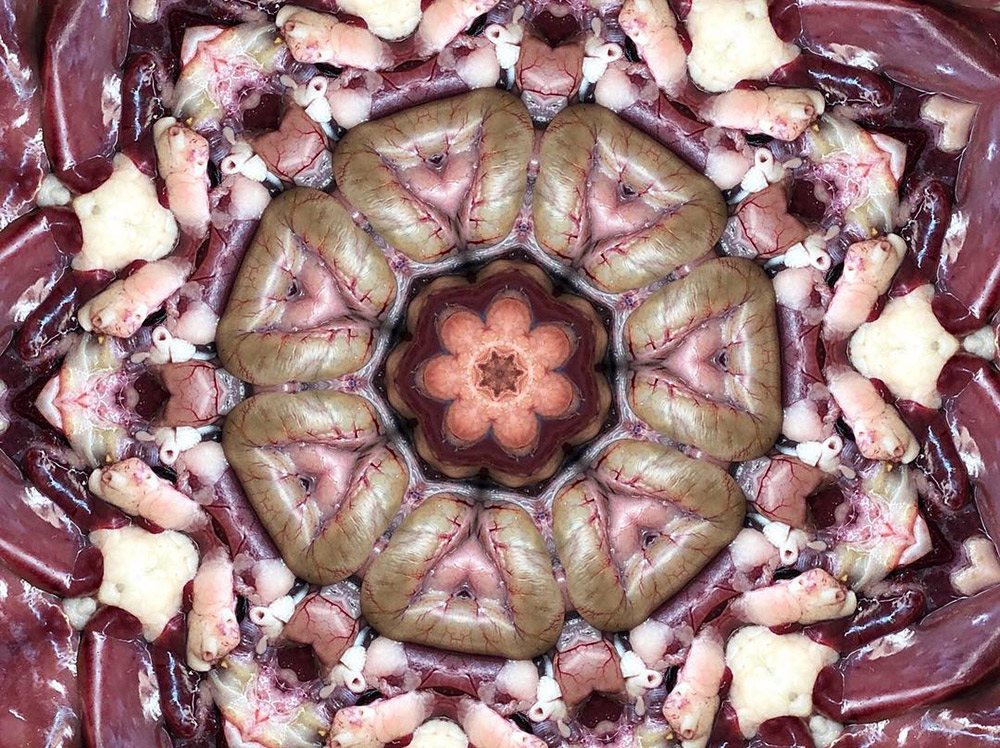 Carneidoscopes - Chicken Interiors