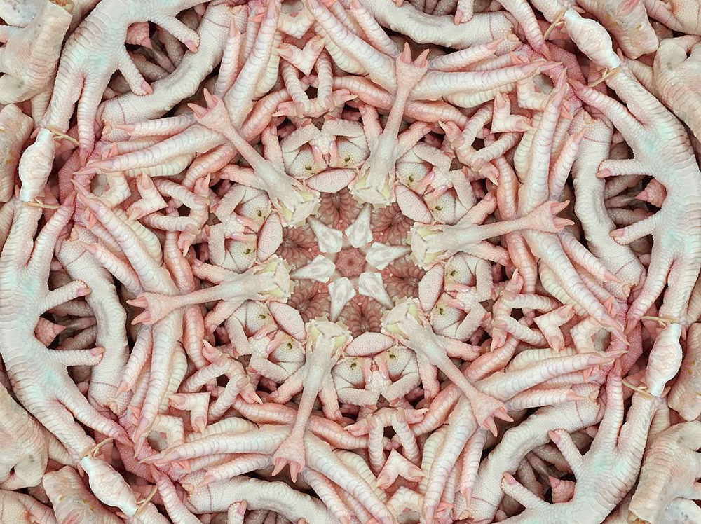 Carneidoscopes - Chicken Feet