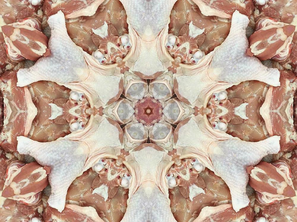 Carneidoscopes - Chicken Thighs