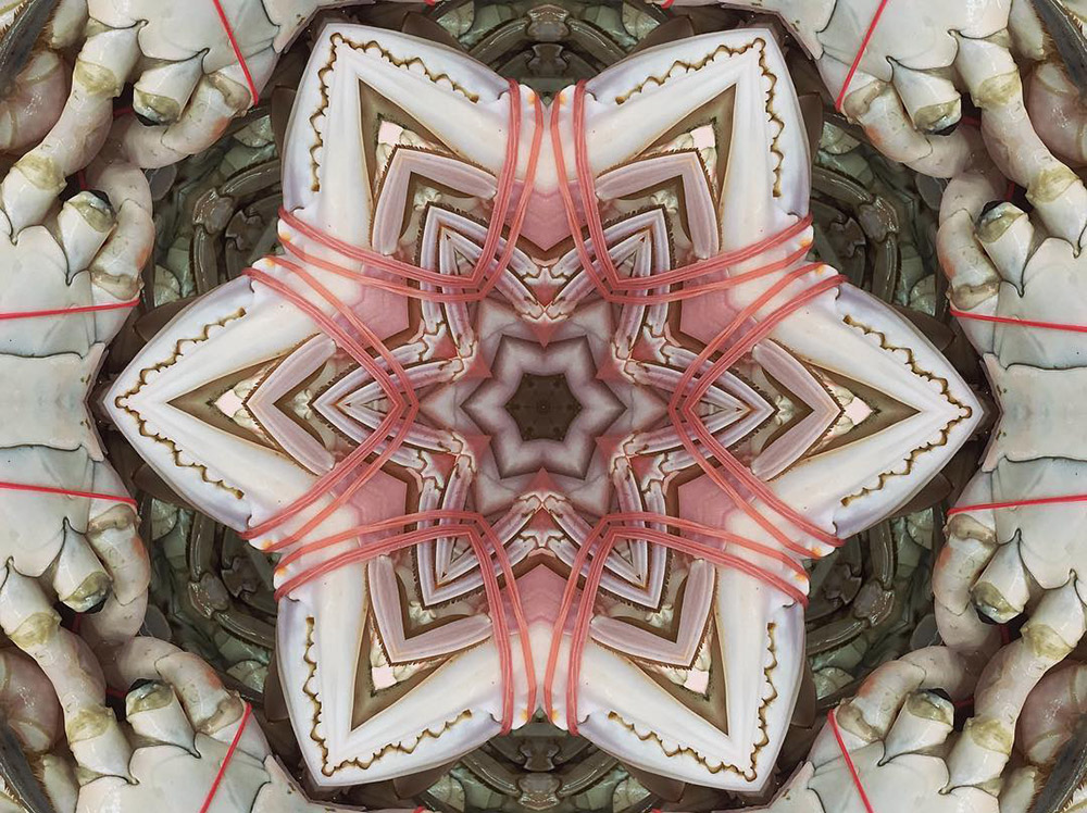 Carneidoscopes - Crabs