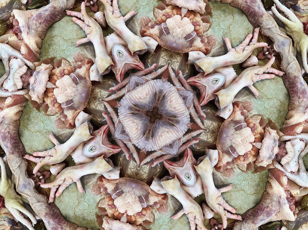 Carneidoscopes - Chicken Parts