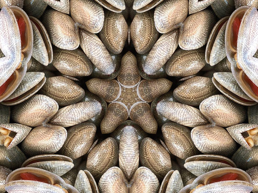 Carneidoscopes - Clams