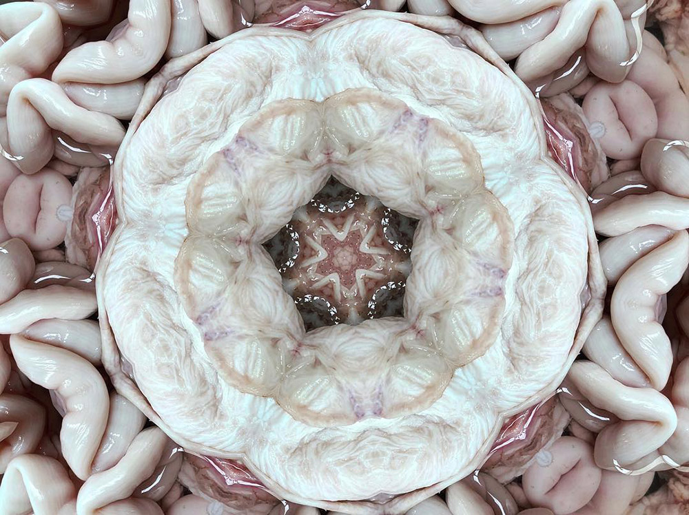 Carneidoscopes - Pork Interiors