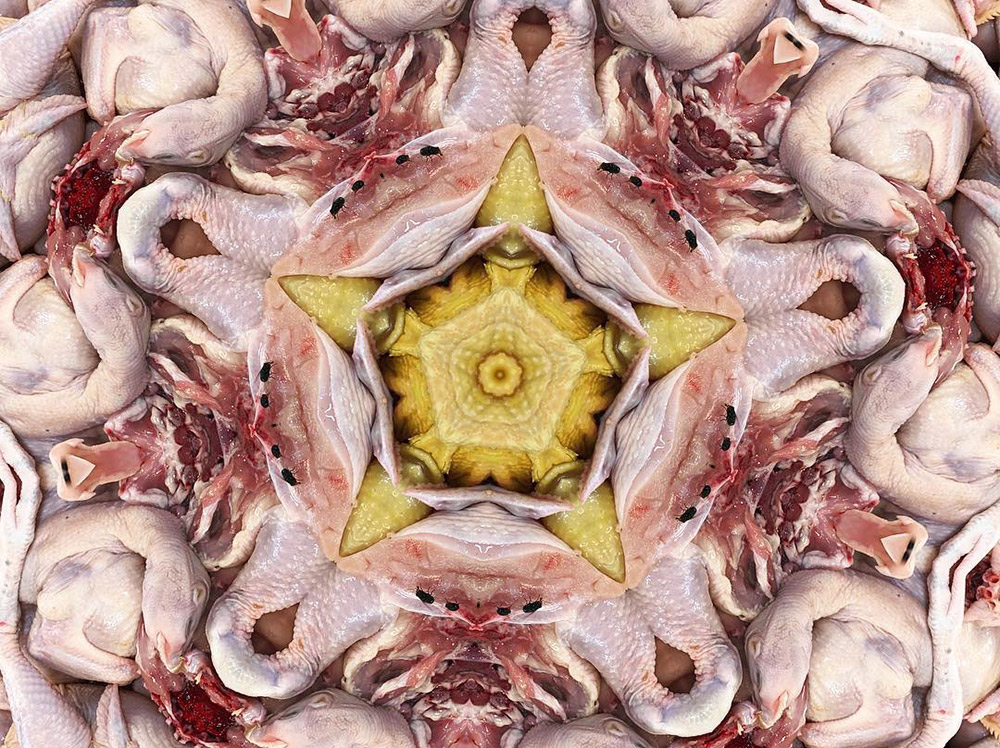 Carneidoscopes - Chicken Thighs