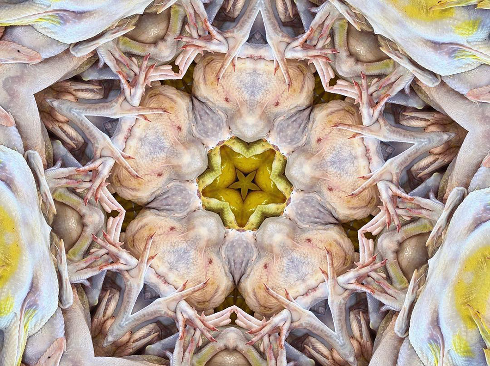 Carneidoscopes - Chicken Parts