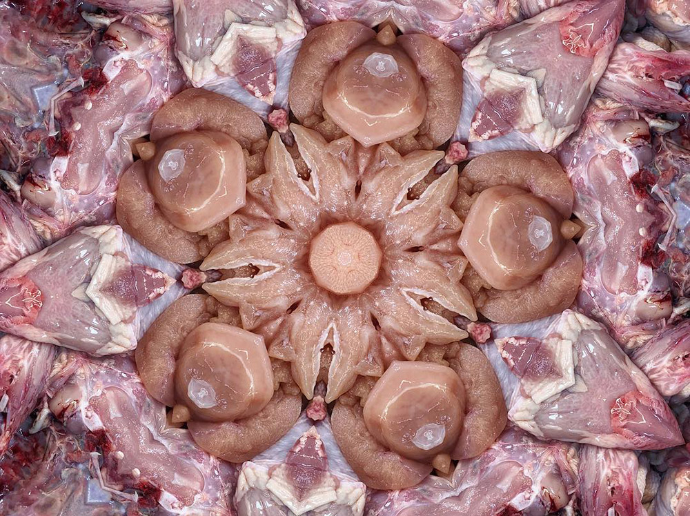 Carneidoscopes - Chicken Breasts