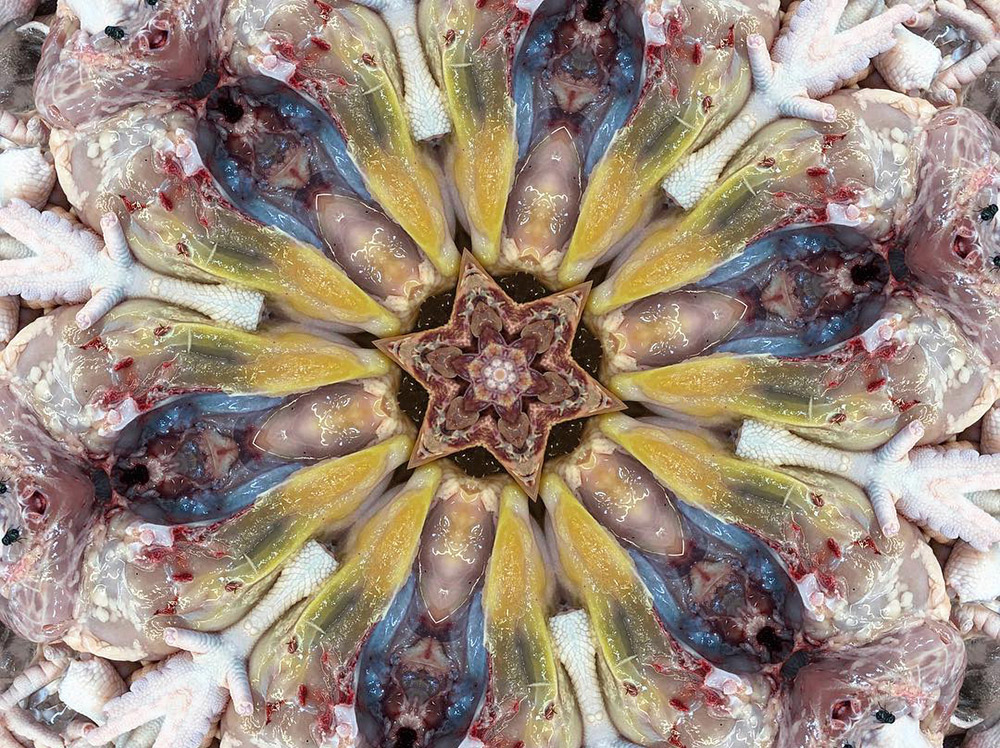 Carneidoscopes - Chicken Parts