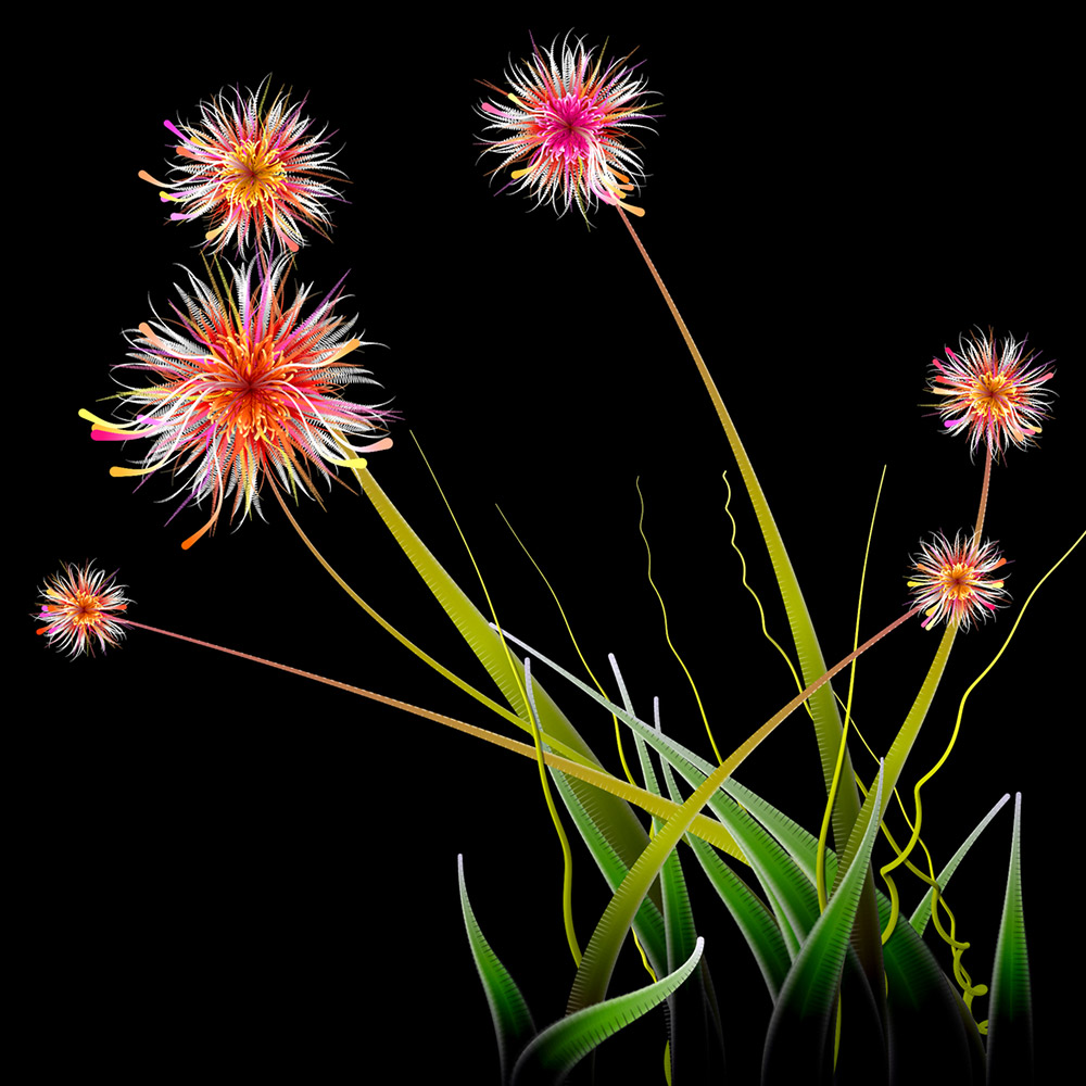 Milena's Flowers #13