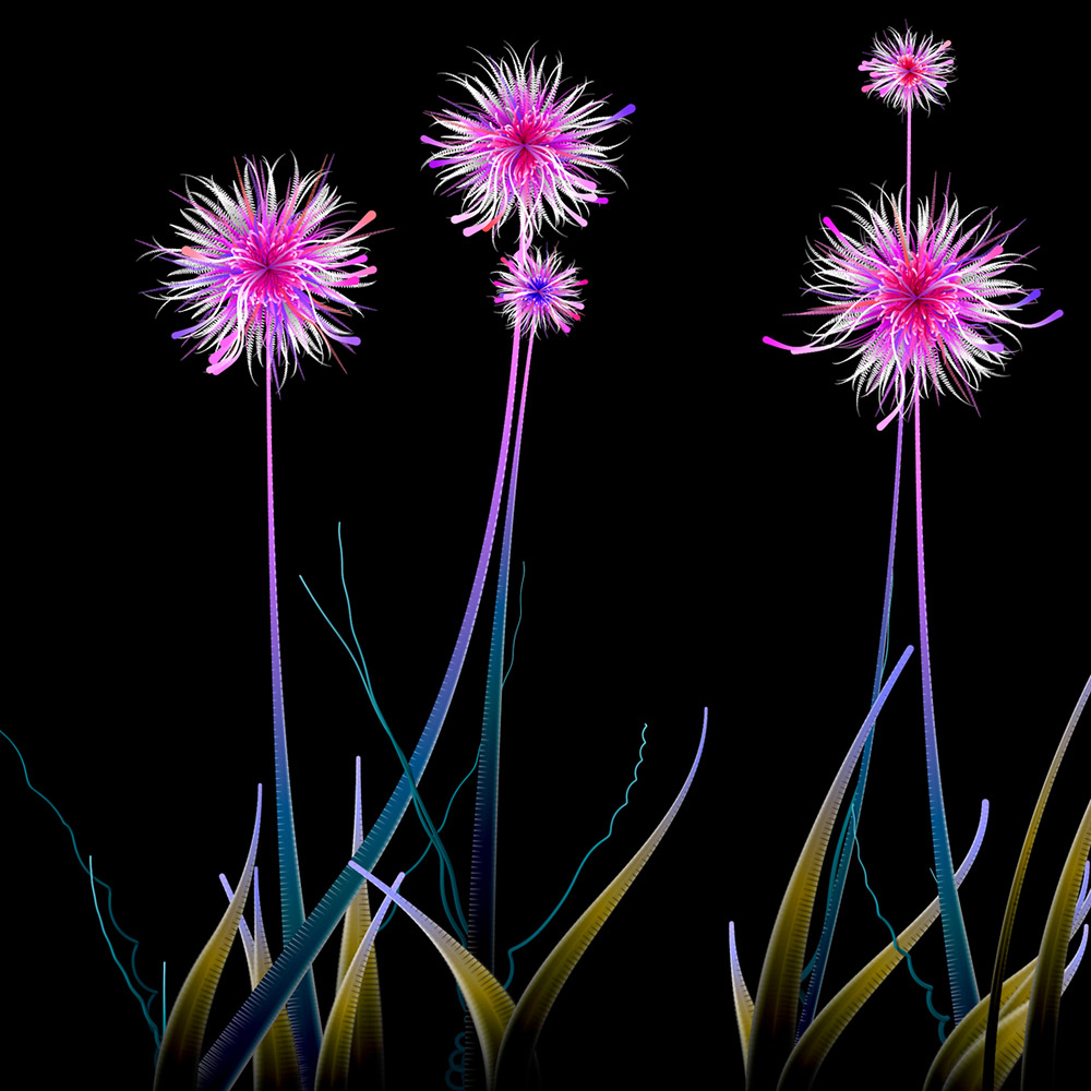 Milena's Flowers #14