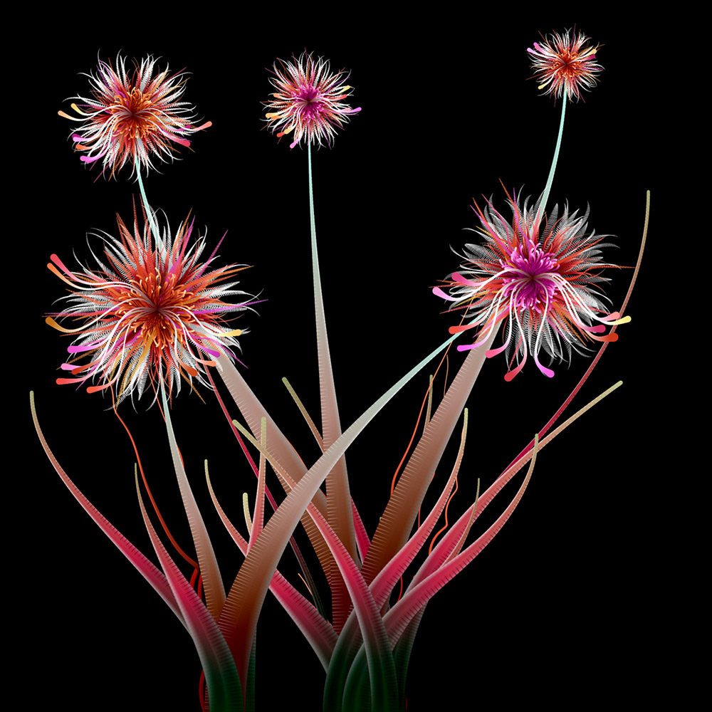 Milena's Flowers #19