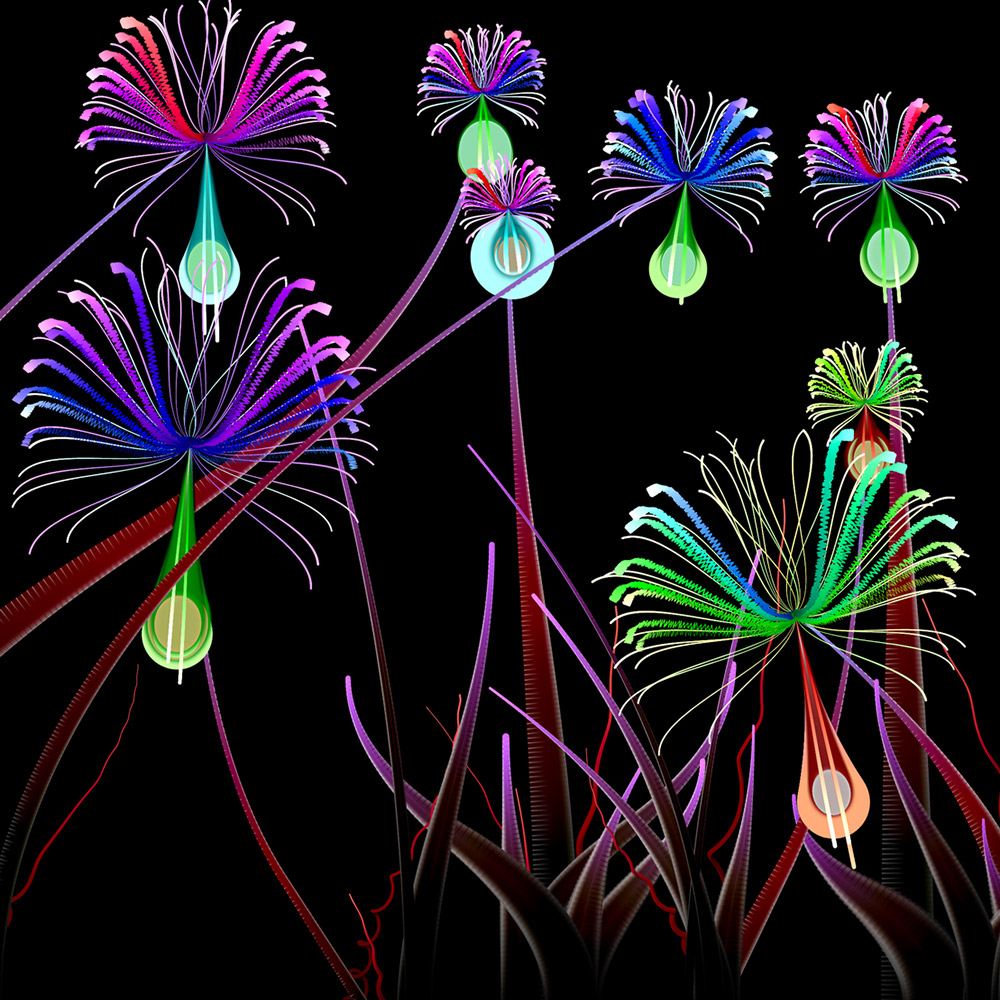 Milena's Flowers #22