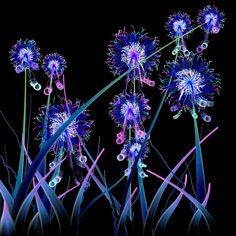 Milena's Flowers #36