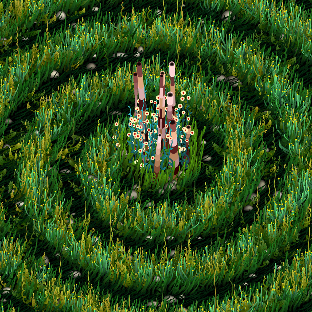 Noisy Gardens #84 (The only spiral garden)