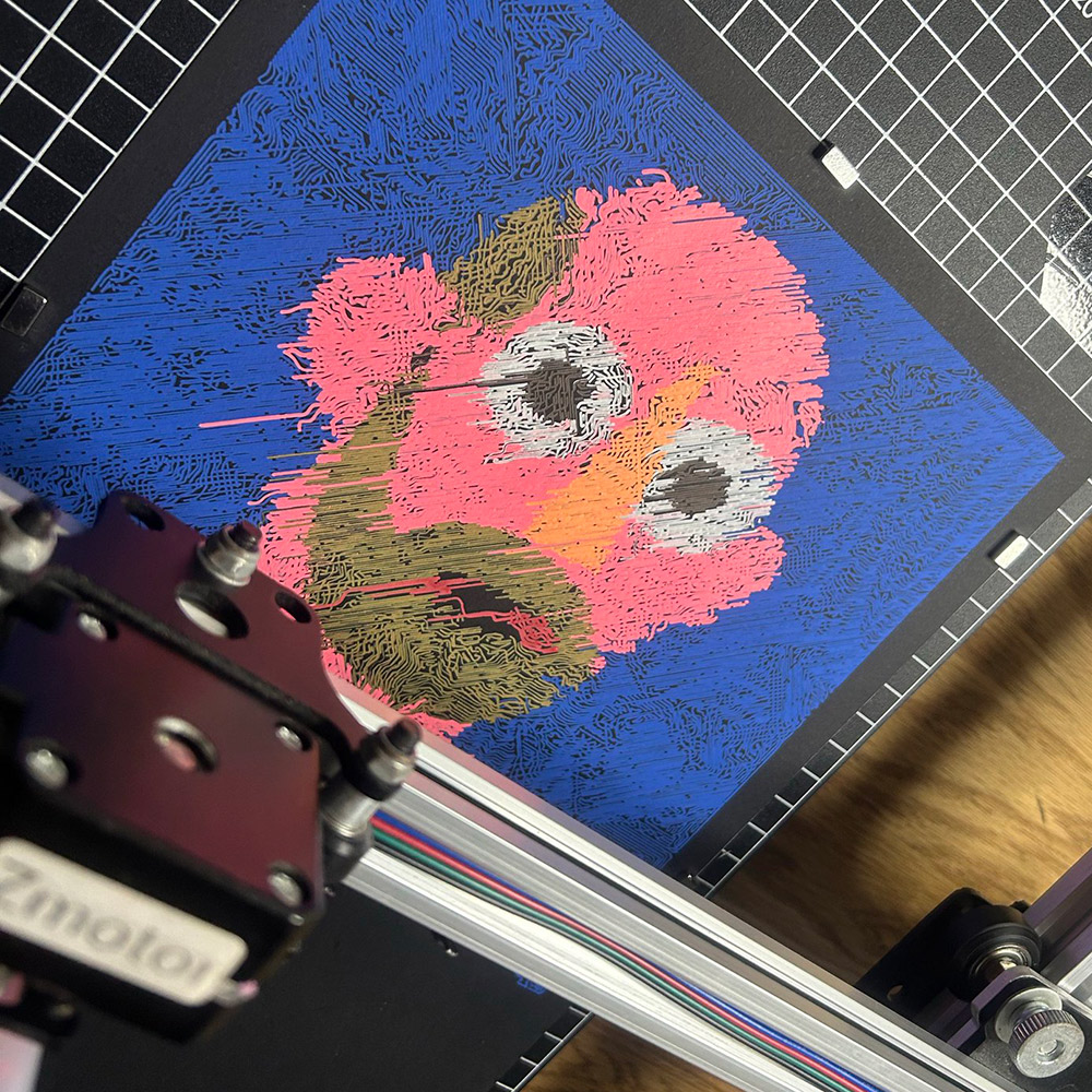 Plotting the self-portrait